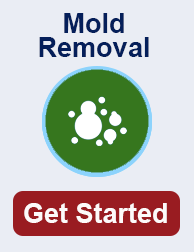 mold remediation in Lakeville MN